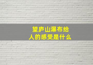 望庐山瀑布给人的感受是什么