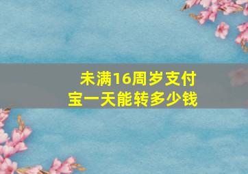 未满16周岁支付宝一天能转多少钱