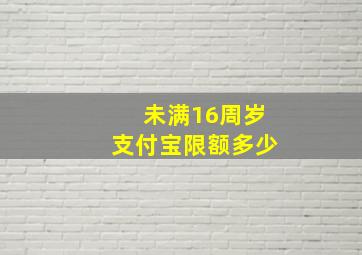 未满16周岁支付宝限额多少