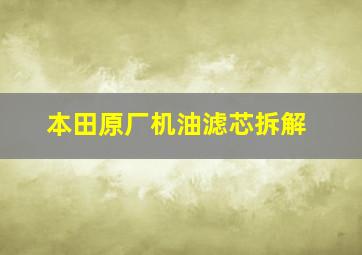 本田原厂机油滤芯拆解