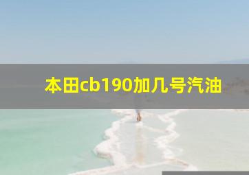 本田cb190加几号汽油