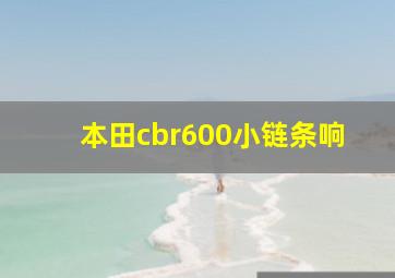 本田cbr600小链条响