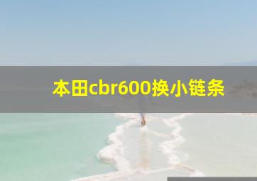 本田cbr600换小链条