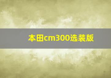 本田cm300选装版