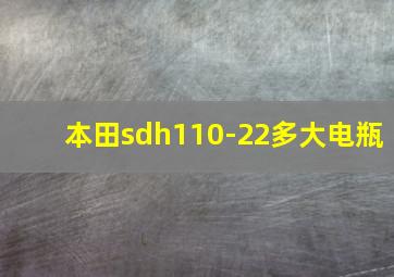 本田sdh110-22多大电瓶