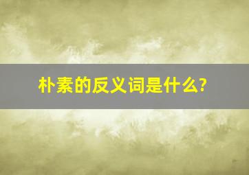 朴素的反义词是什么?