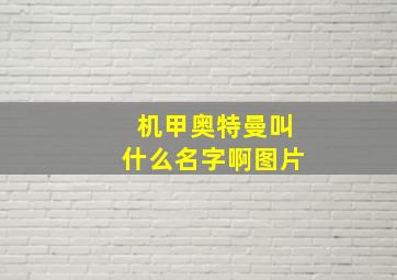 机甲奥特曼叫什么名字啊图片