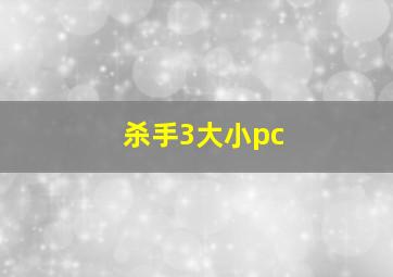 杀手3大小pc