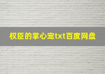 权臣的掌心宠txt百度网盘