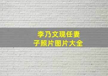 李乃文现任妻子照片图片大全