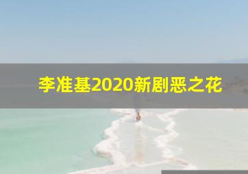 李准基2020新剧恶之花