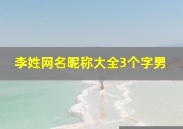 李姓网名昵称大全3个字男