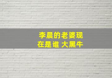 李晨的老婆现在是谁 大黑牛