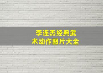 李连杰经典武术动作图片大全