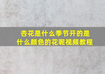 杏花是什么季节开的是什么颜色的花呢视频教程