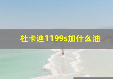 杜卡迪1199s加什么油