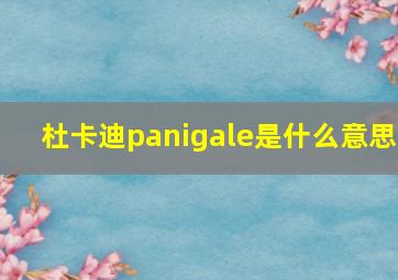 杜卡迪panigale是什么意思