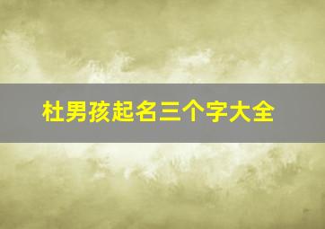 杜男孩起名三个字大全