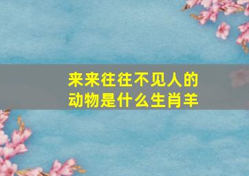 来来往往不见人的动物是什么生肖羊