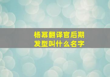 杨幂翻译官后期发型叫什么名字