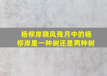 杨柳岸晓风残月中的杨柳岸是一种树还是两种树