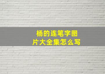 杨的连笔字图片大全集怎么写