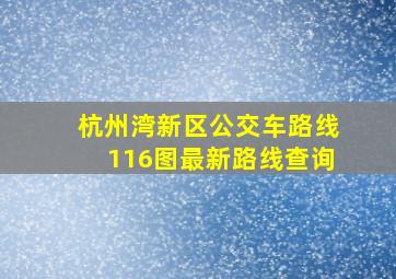 杭州湾新区公交车路线116图最新路线查询