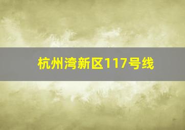 杭州湾新区117号线