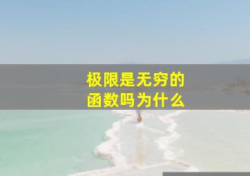 极限是无穷的函数吗为什么