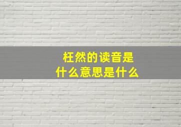 枉然的读音是什么意思是什么