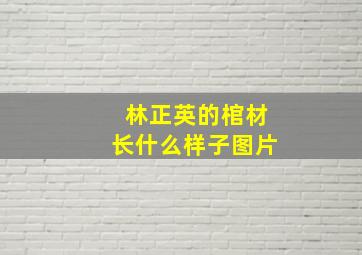 林正英的棺材长什么样子图片