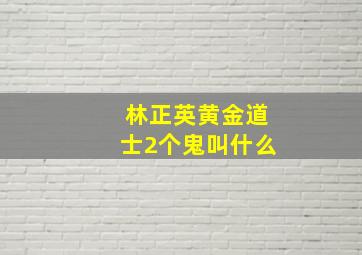 林正英黄金道士2个鬼叫什么