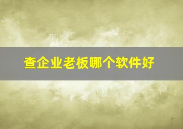 查企业老板哪个软件好