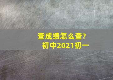 查成绩怎么查?初中2021初一