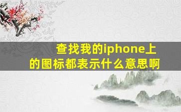 查找我的iphone上的图标都表示什么意思啊