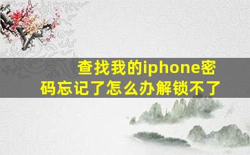 查找我的iphone密码忘记了怎么办解锁不了