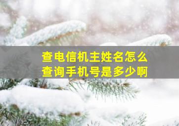 查电信机主姓名怎么查询手机号是多少啊