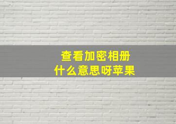 查看加密相册什么意思呀苹果