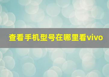 查看手机型号在哪里看vivo