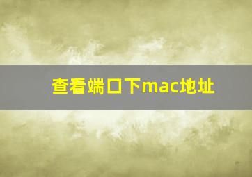 查看端口下mac地址