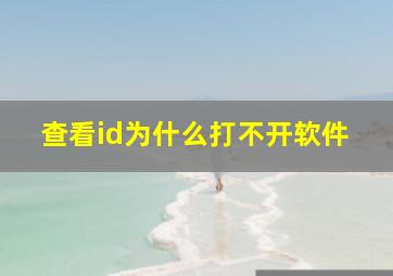 查看id为什么打不开软件