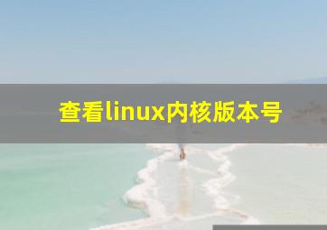 查看linux内核版本号