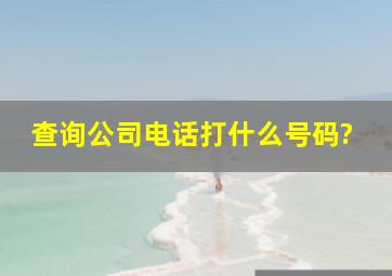 查询公司电话打什么号码?