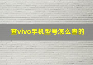 查vivo手机型号怎么查的