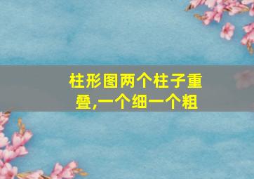 柱形图两个柱子重叠,一个细一个粗