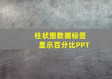 柱状图数据标签显示百分比PPT