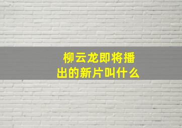 柳云龙即将播出的新片叫什么