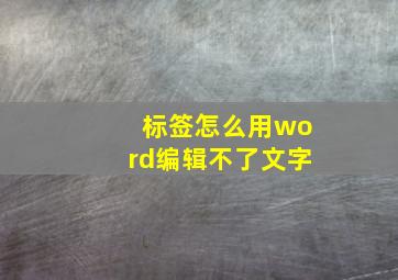 标签怎么用word编辑不了文字