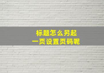 标题怎么另起一页设置页码呢