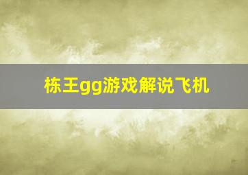 栋王gg游戏解说飞机